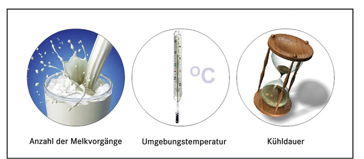 Ohne Kälte keine Milch