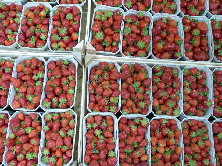 Millenials setzen auf frisches Gemüse und Tiefkühlkost