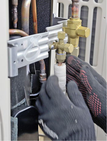 Fake-News oder Tatsachen-Panik?