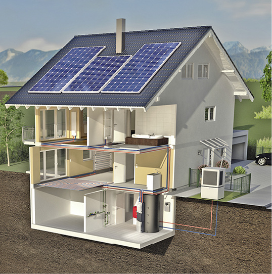 Belohnung für Grün