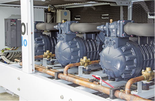 Vom Acker bis ins Supermarktregal