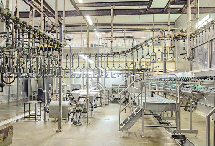 Für Kälte und Wärme