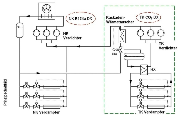 Bild 1: Kaskadenanlagen mit R 134 a für die Normalkühlung und CO2 für die Tiefkühlung sind eine Alternative zu herkömmlichen R 404 A-Direkt­verdampfungsanlagen in der Supermarktkälte.