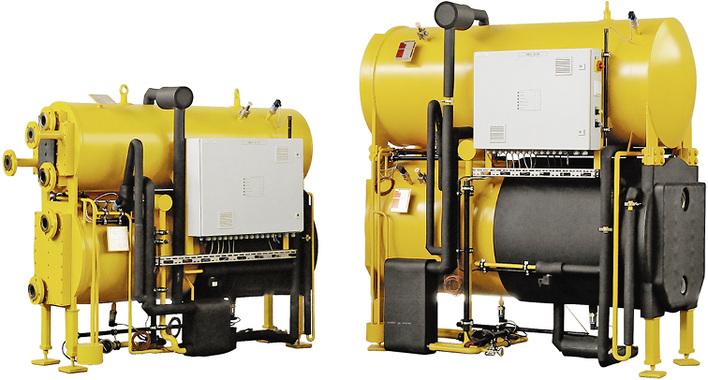 Von Bienen, Hummeln und Hornissen