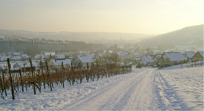 Wärme- und Feuchte-Rückgewinnung mit einem System